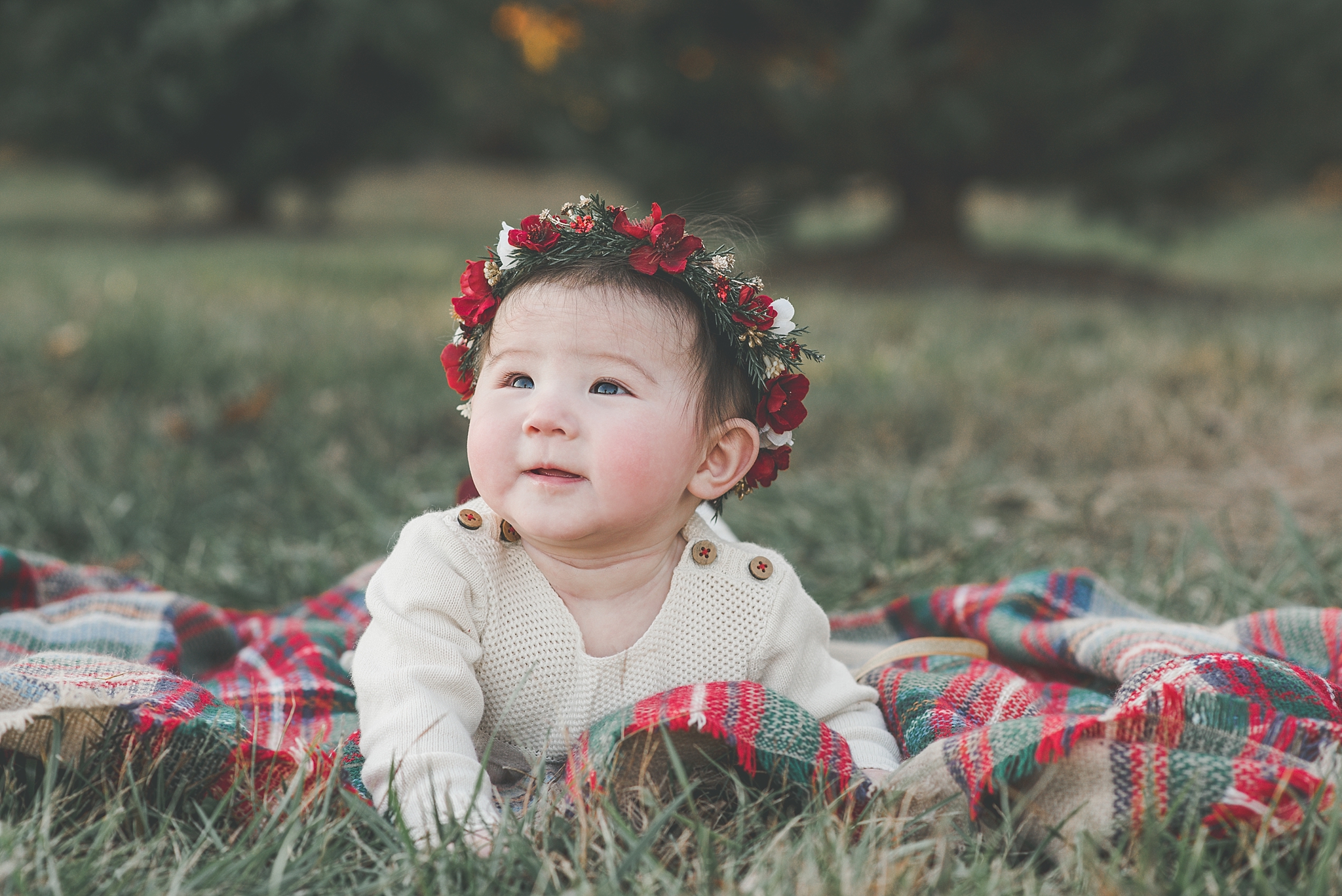 Centerville Ohio Baby Photographer | In the Pines