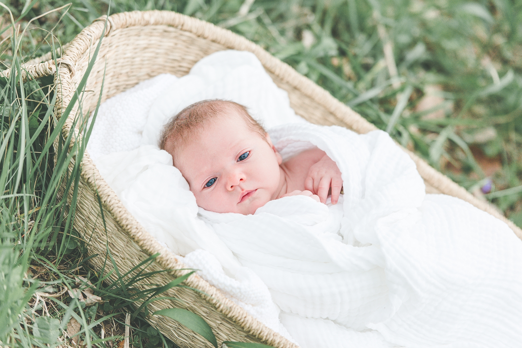 Dayton Ohio Outdoor Baby Session | The Browning Family