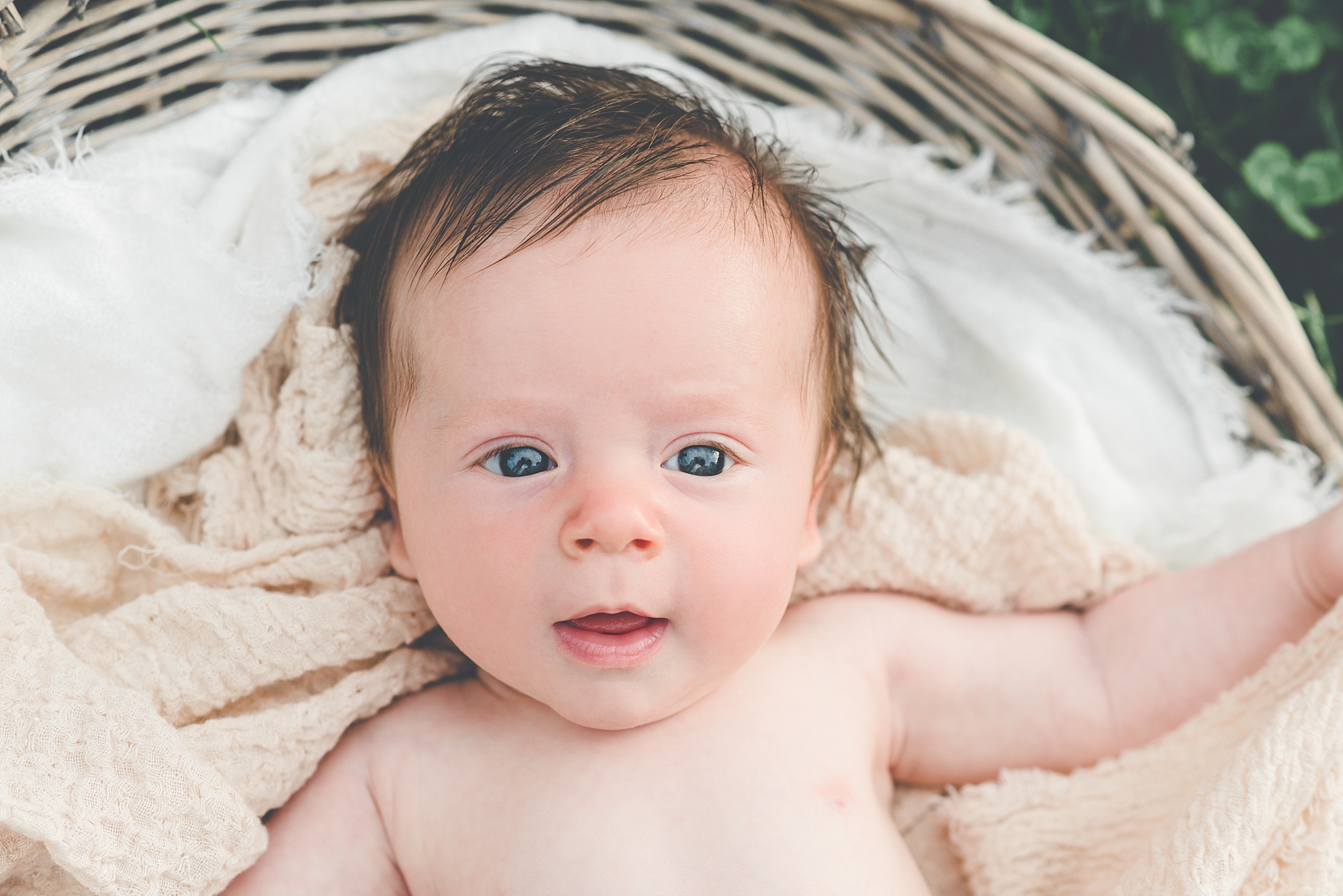 Baby Photography Session at One Month | The Hess Family